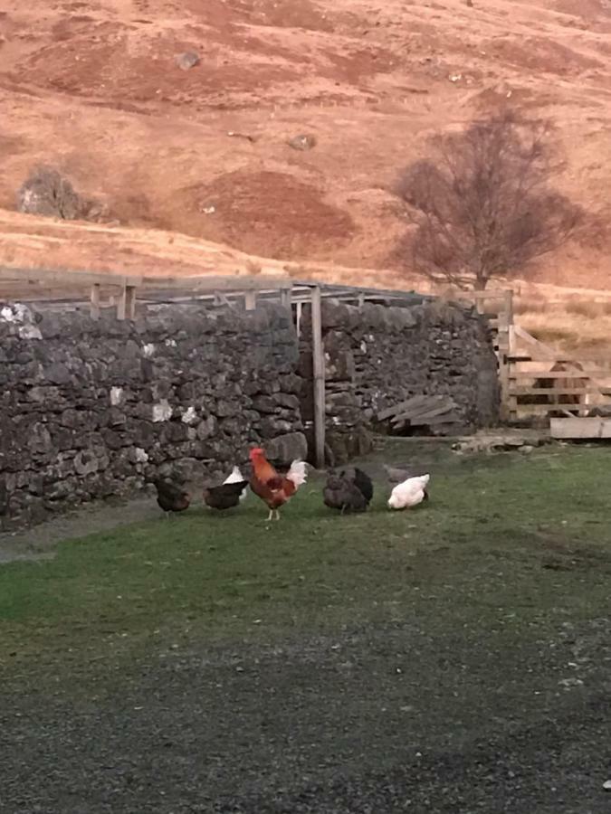 Garrison Of Inversnaid Farm With Hot Tub Esterno foto