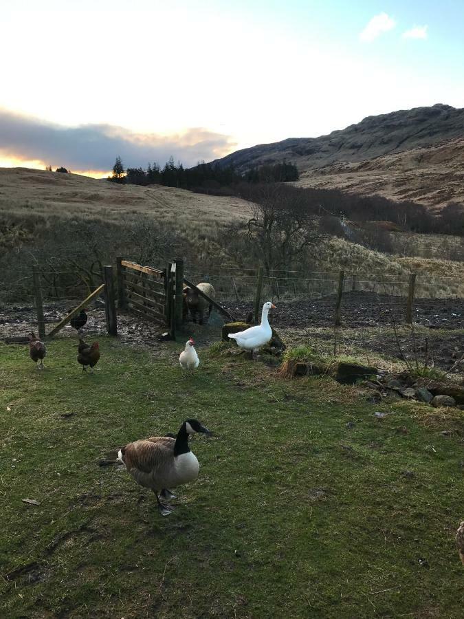 Garrison Of Inversnaid Farm With Hot Tub Esterno foto