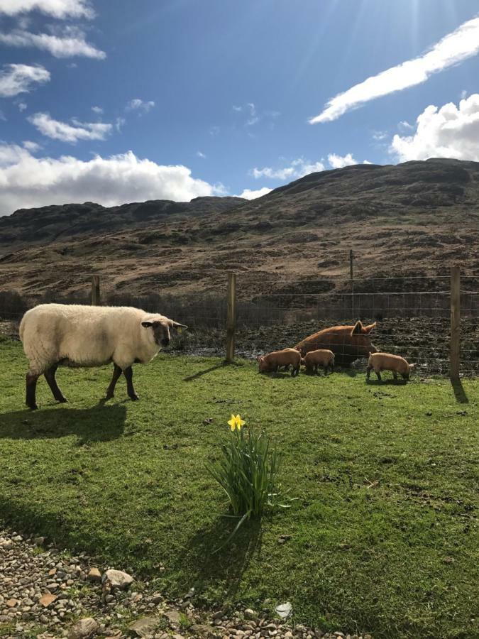 Garrison Of Inversnaid Farm With Hot Tub Esterno foto